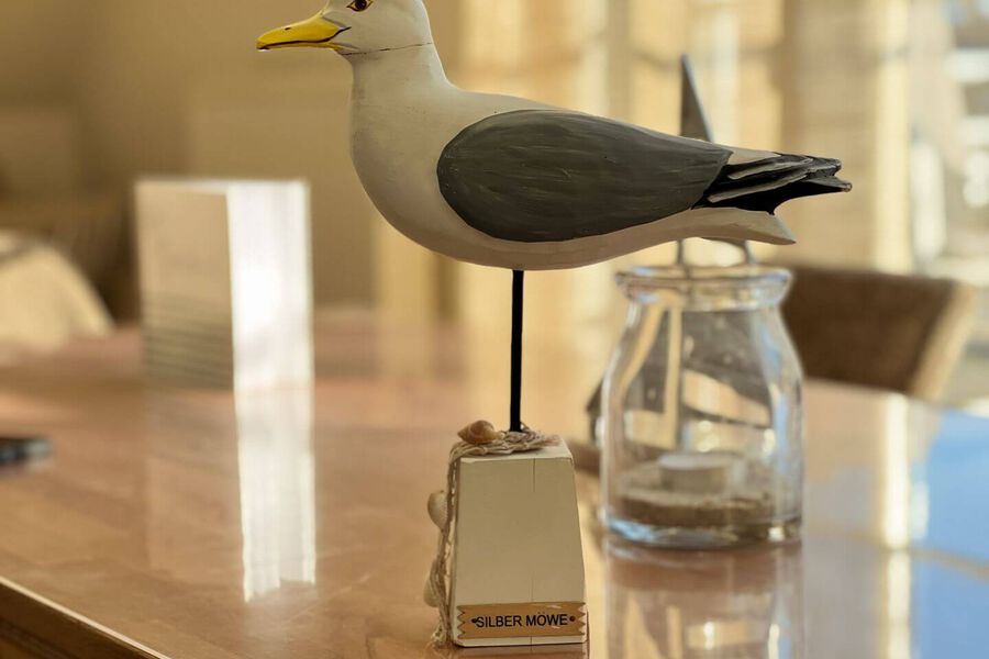 Silbermöwe