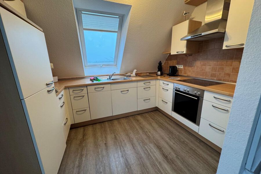 Möwenkieker (FhD OG)